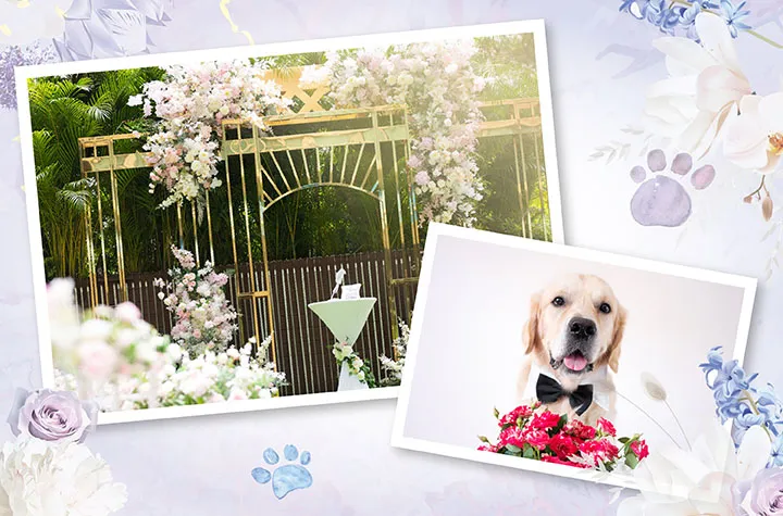  RRH_Pet Friendly Wedding Ceremony Package_720x475.jpg 