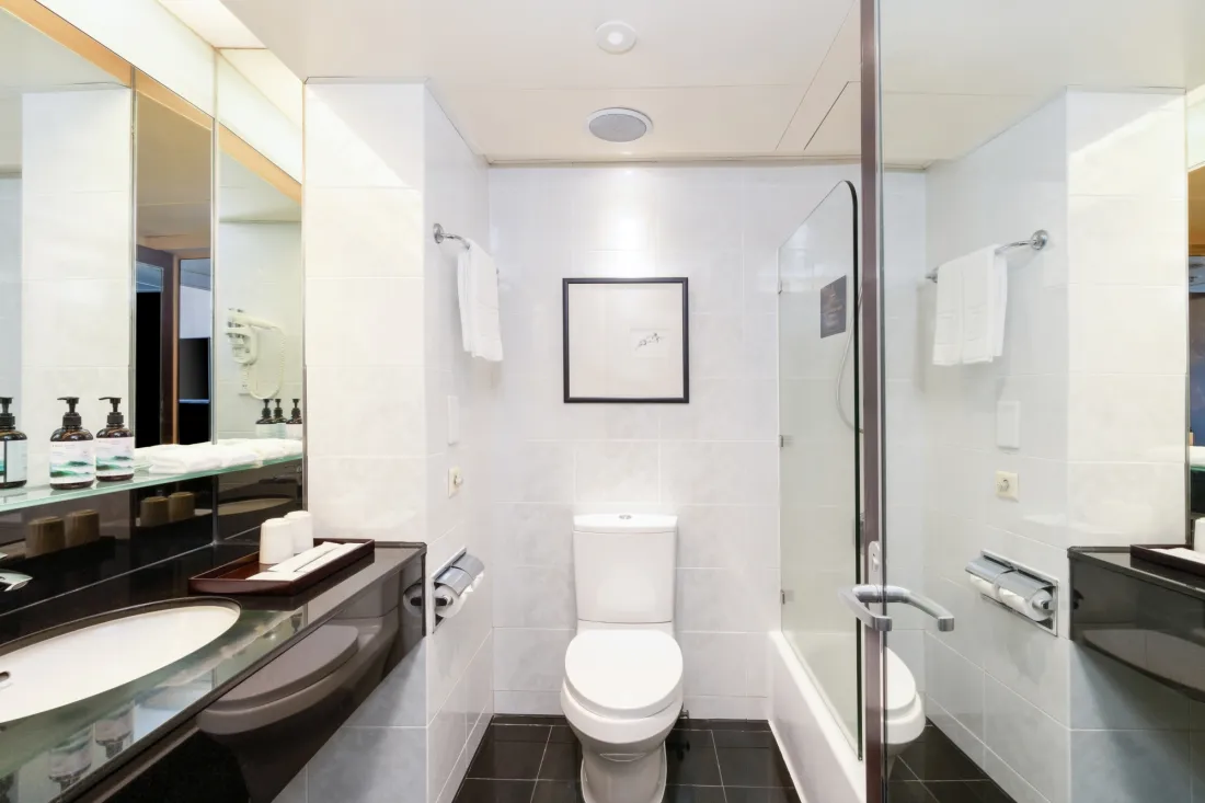 RAH_Superior room_toilet